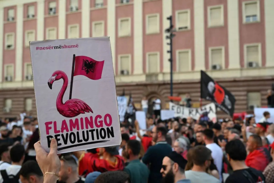 What the “Flamingo Revolution” reveals