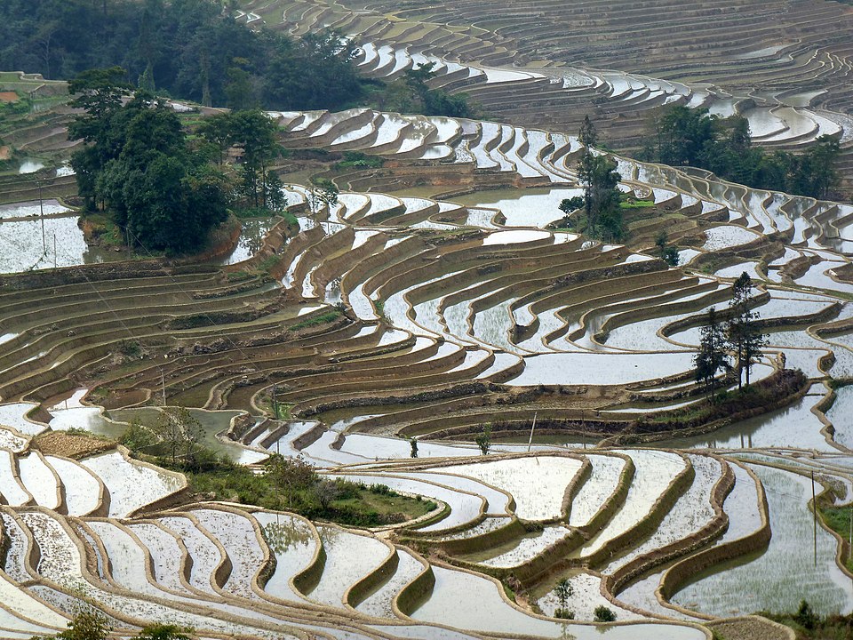 China Hit by “Deadly Weather Events”